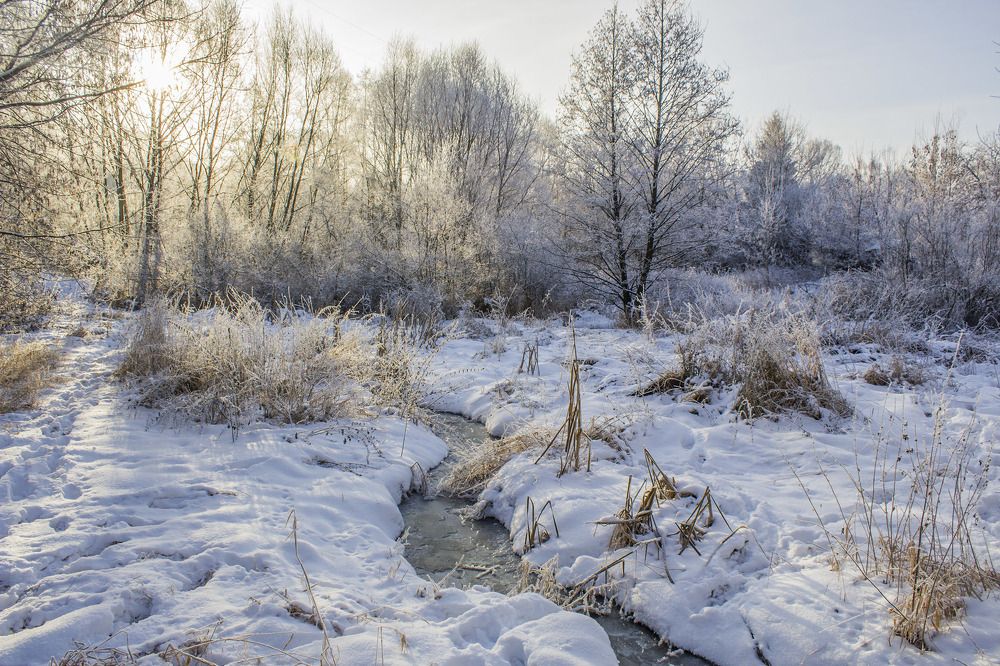 Незамерзайка