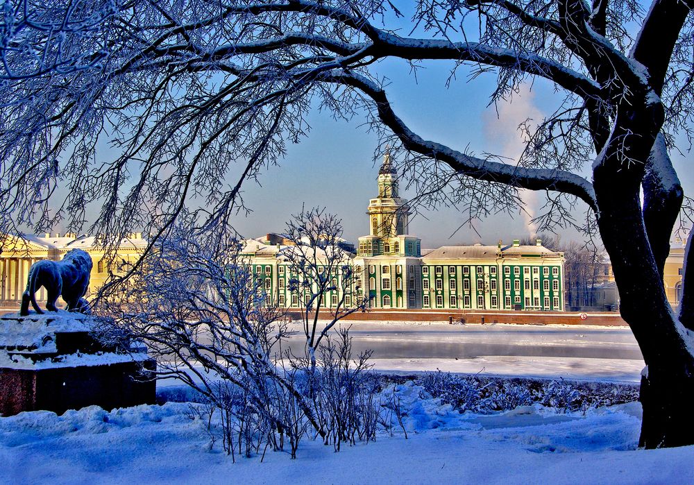 Зимний Петербург