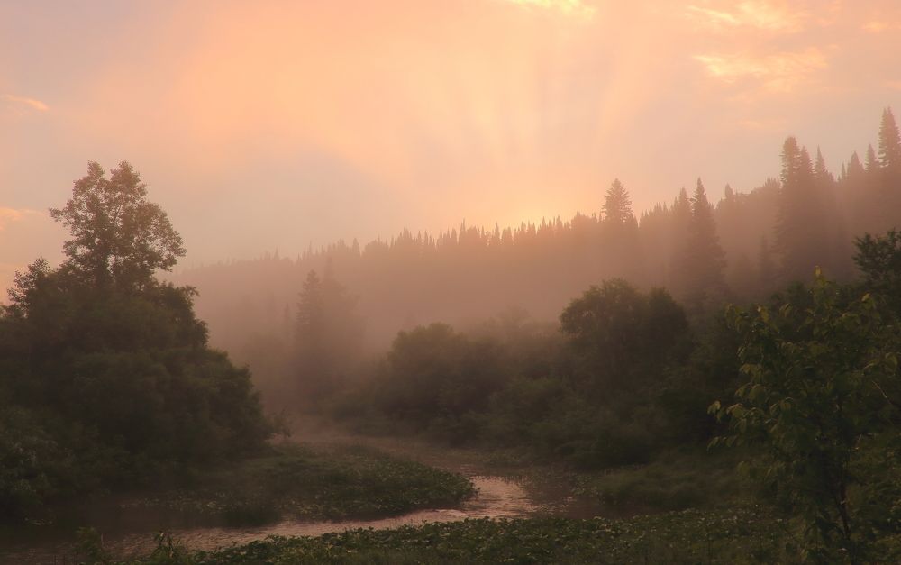 Туманный восход над тайгой
