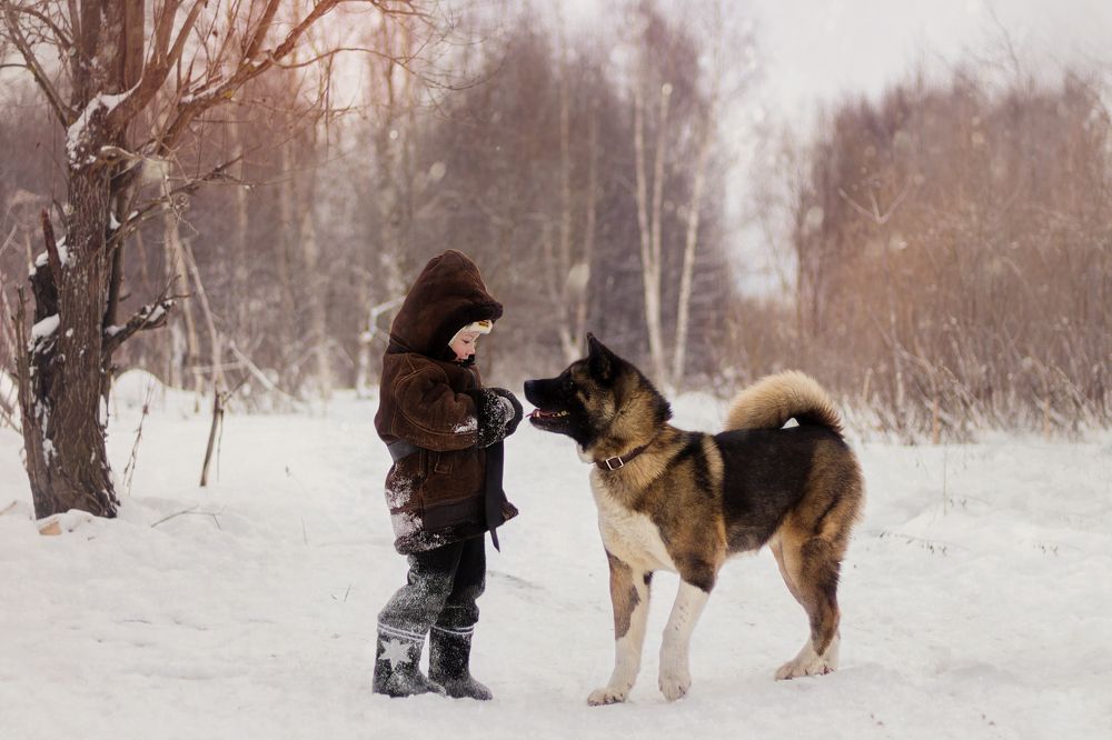 "Зимняя прогулка"