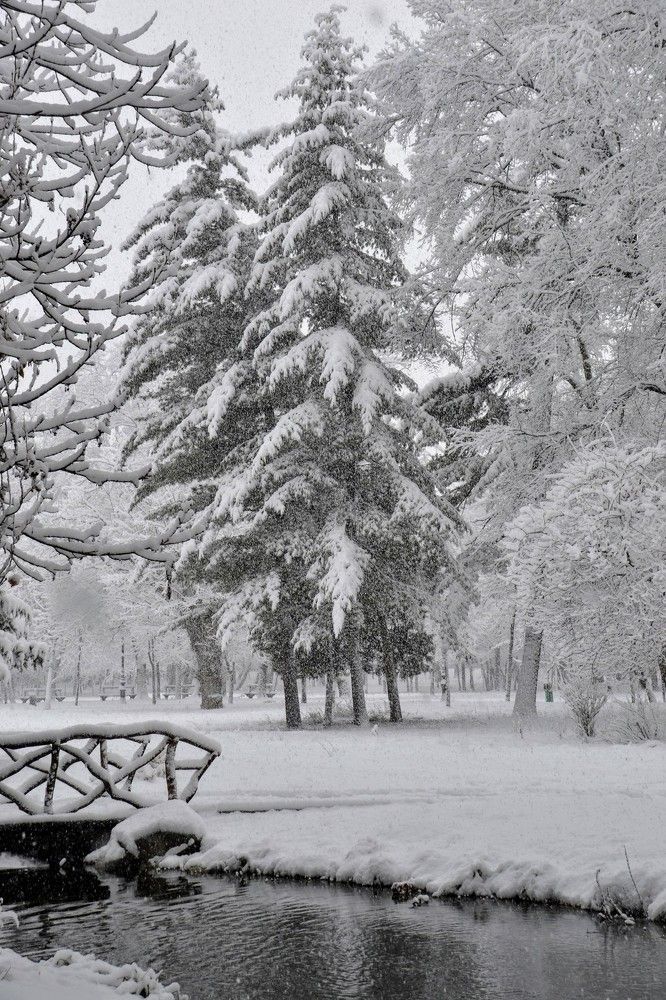 Photograph by Cornelia Ilie