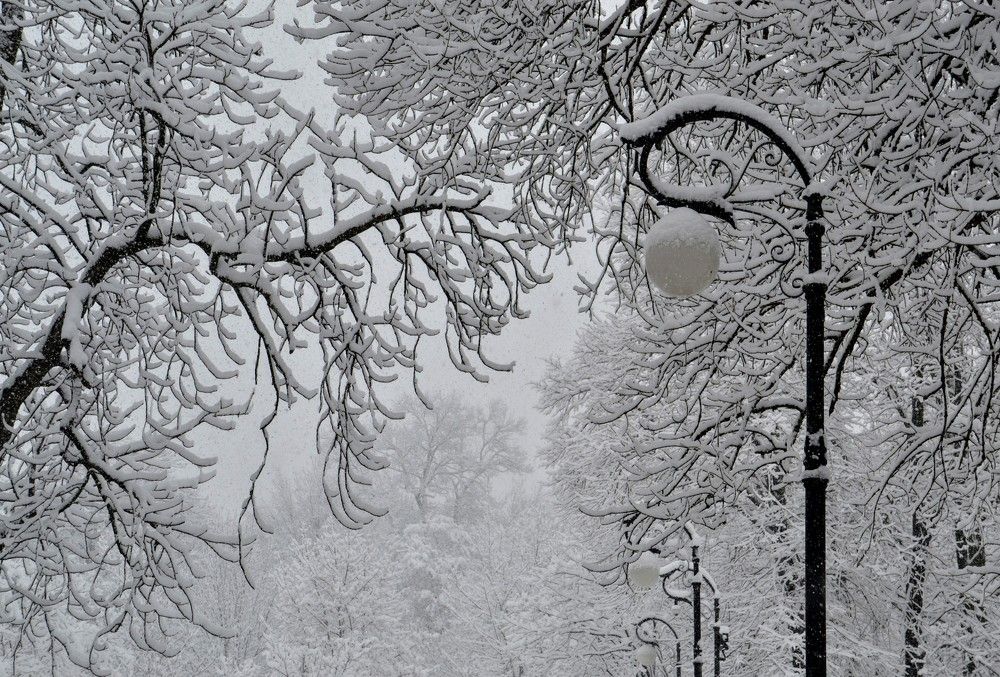 Photograph by Cornelia Ilie