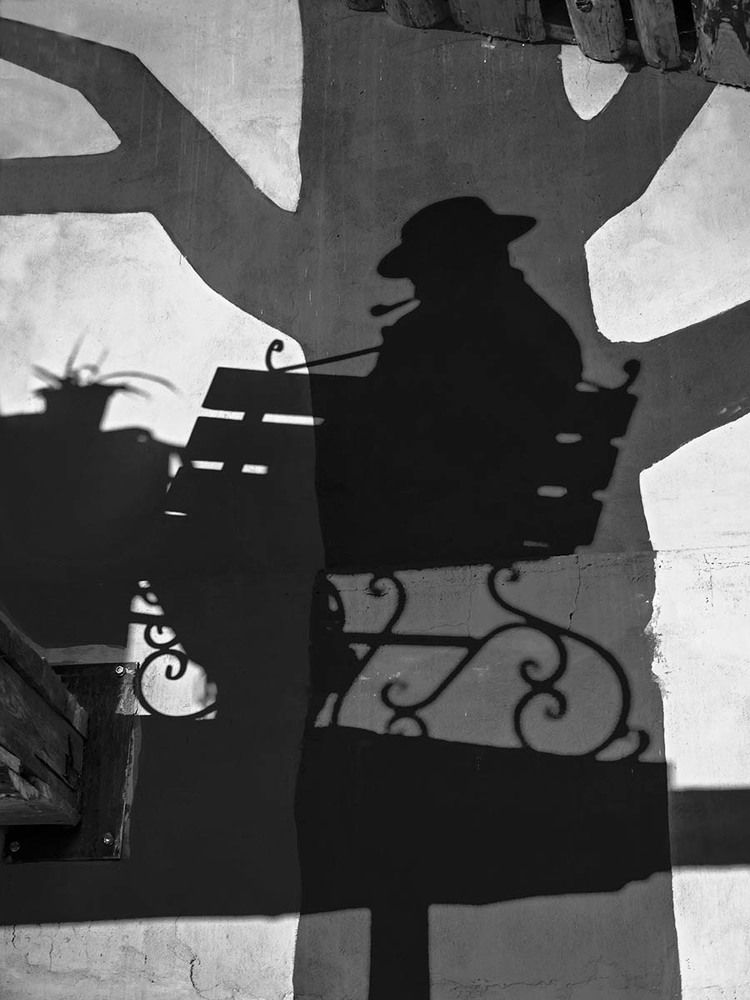 Тень художника.