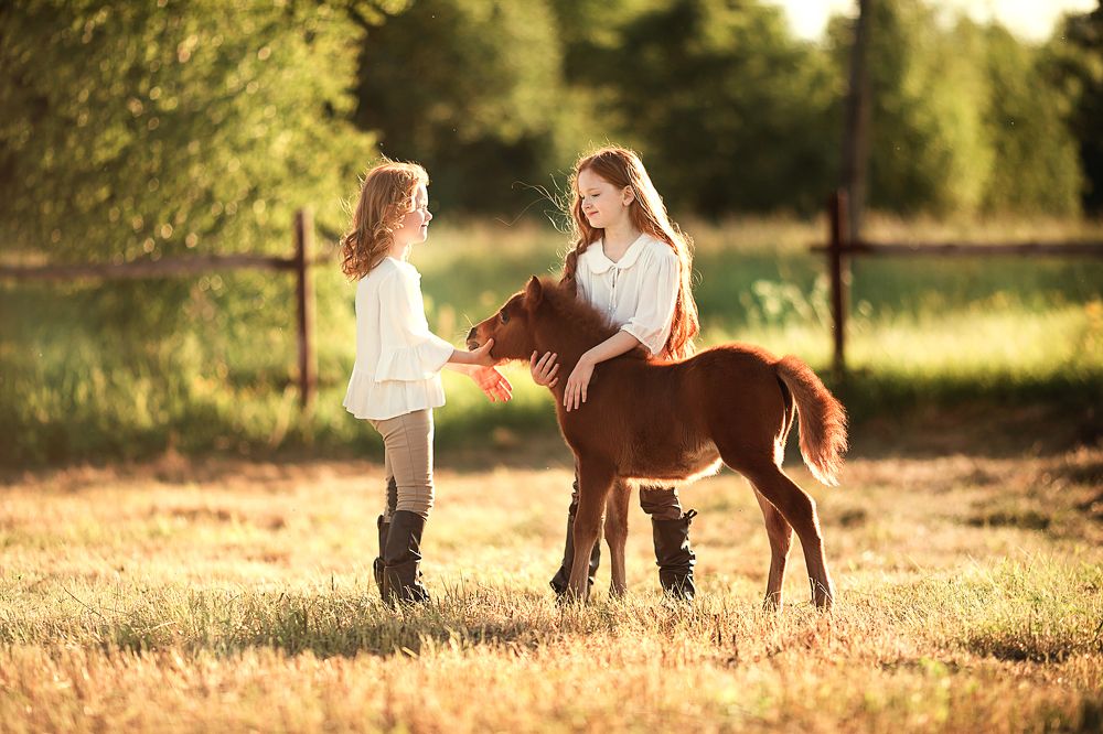 закат на конюшне