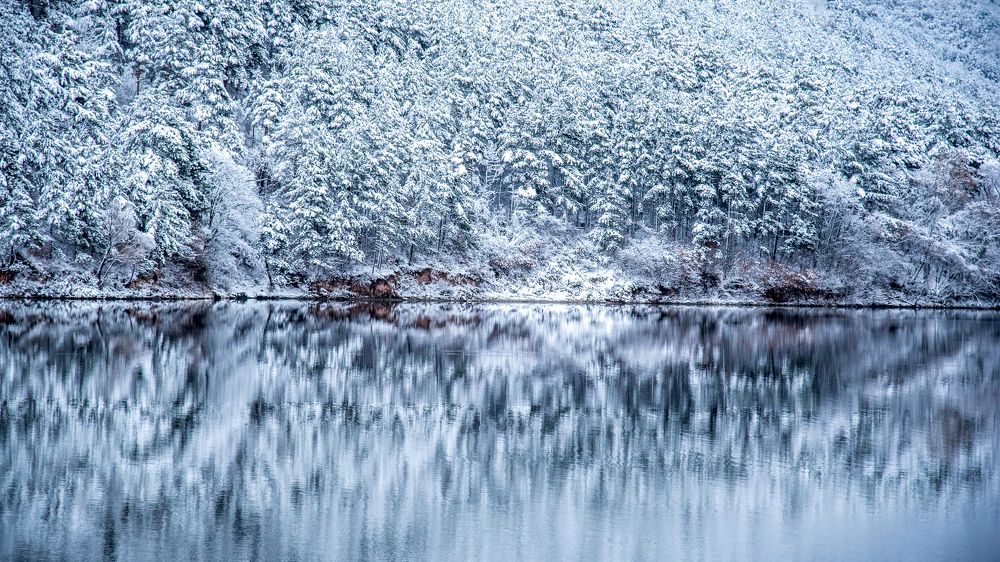 White, Whiter, The Whitest