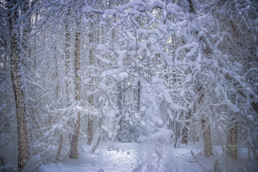 зимний пейзаж