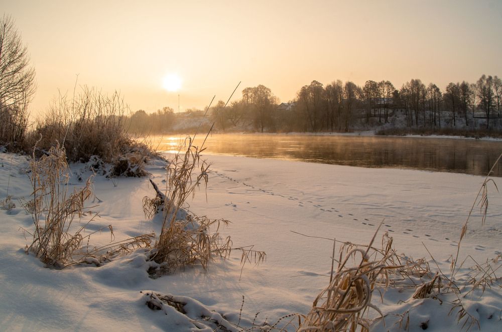 Photograph by Евгений Новицкий