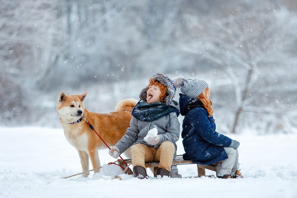 Фотография автора Тимакова Татьяна