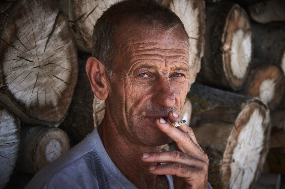 ЛЕСОПОВАЛ..