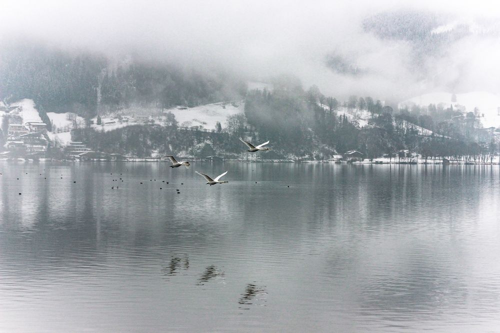Пересекая горизонт