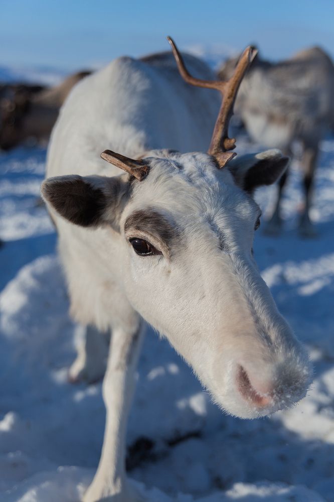 А меня в профиль, пожалуйста