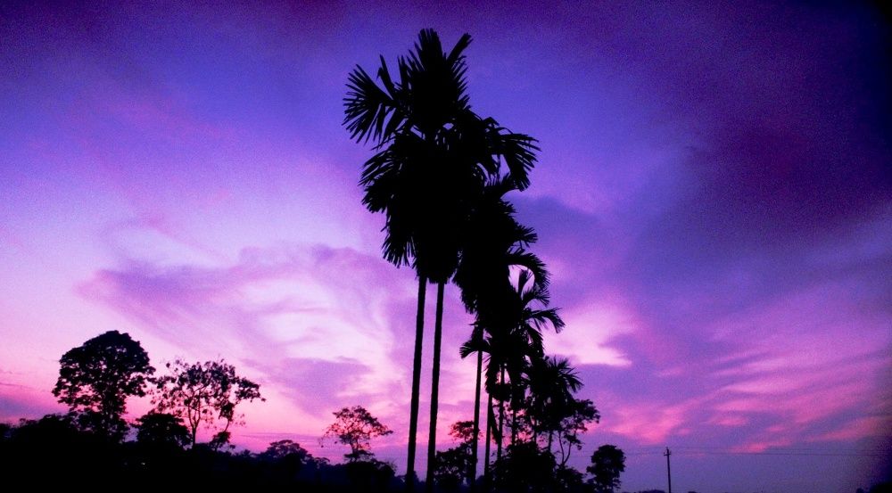 The sky~