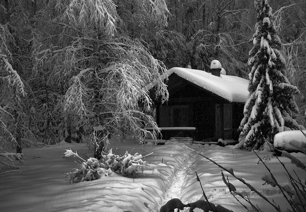 В гостях у сказки