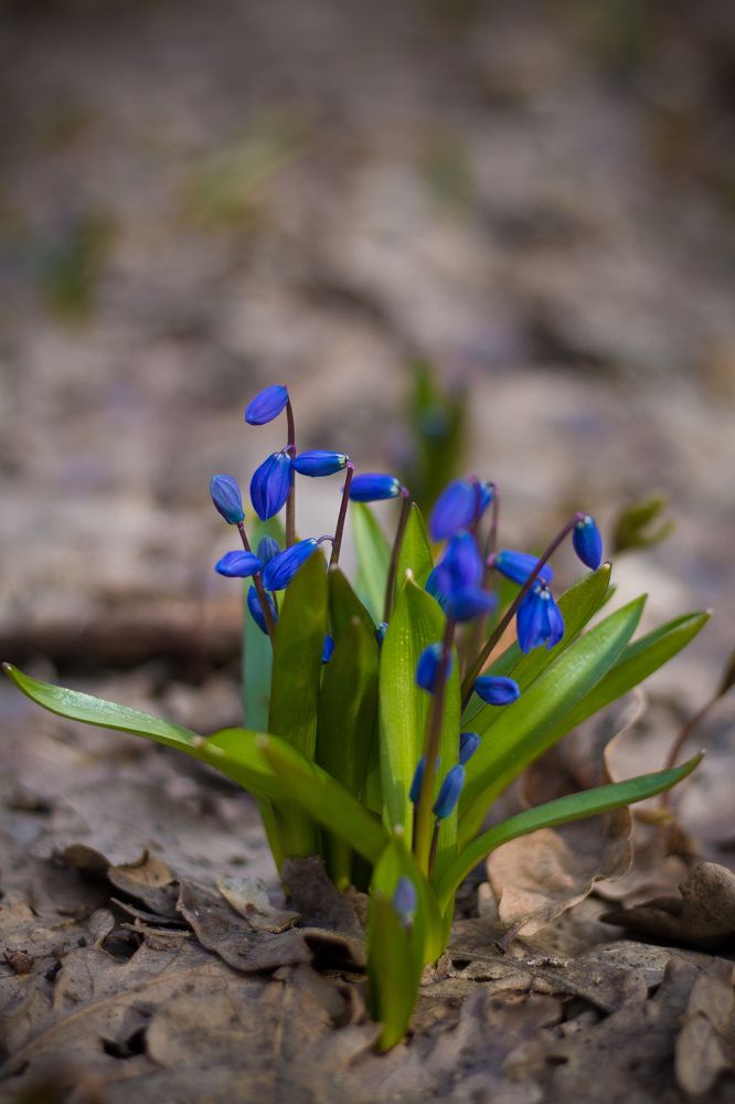 Photograph by Лена Андреева