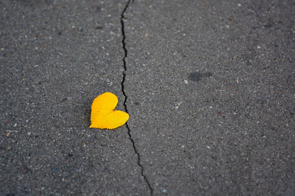 Photograph by Анатолий Орлов