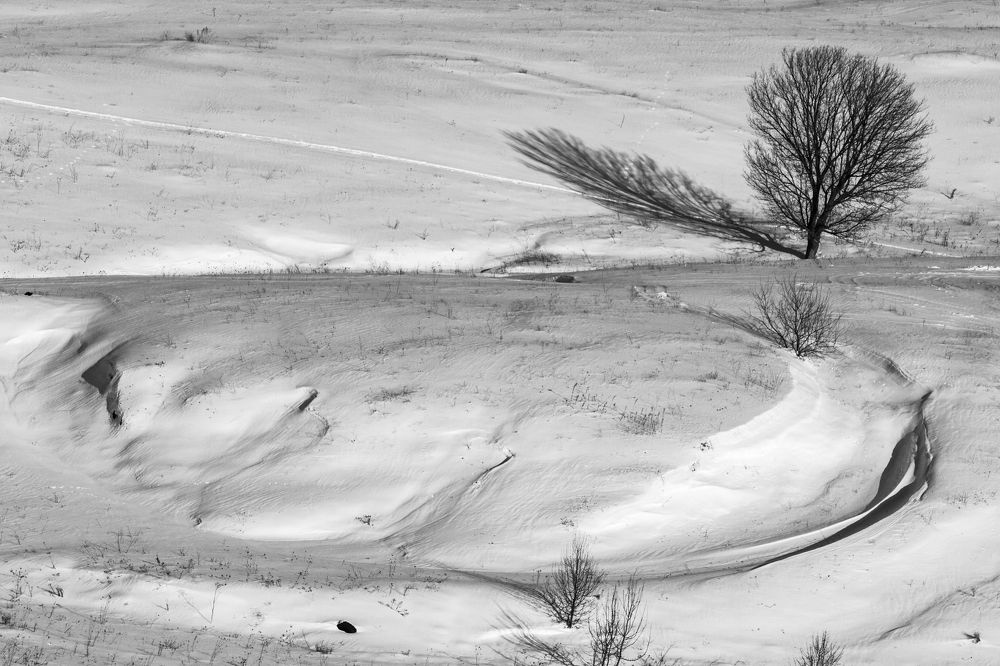 Фотография автора Андрей Серый