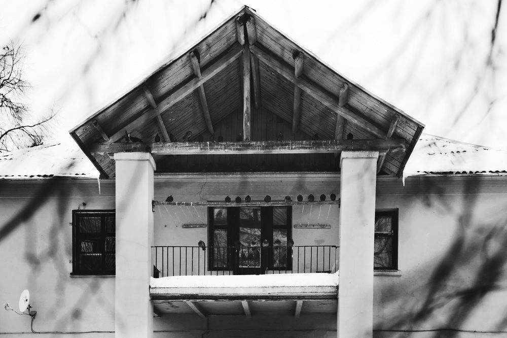 Photograph by Евгения Цой