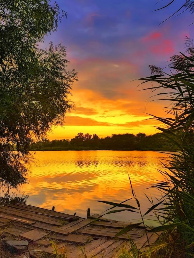 Sunset madness