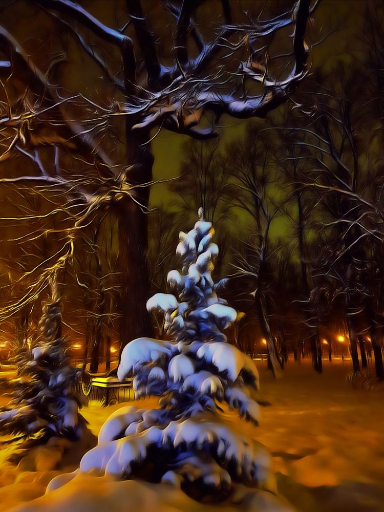 Winter fairy tale
