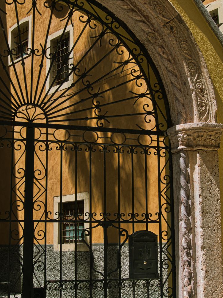 palm shadow on the wall