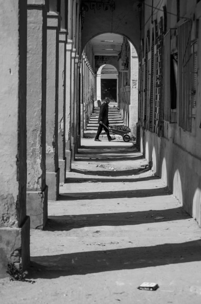 Entre l'ombre et le vélo