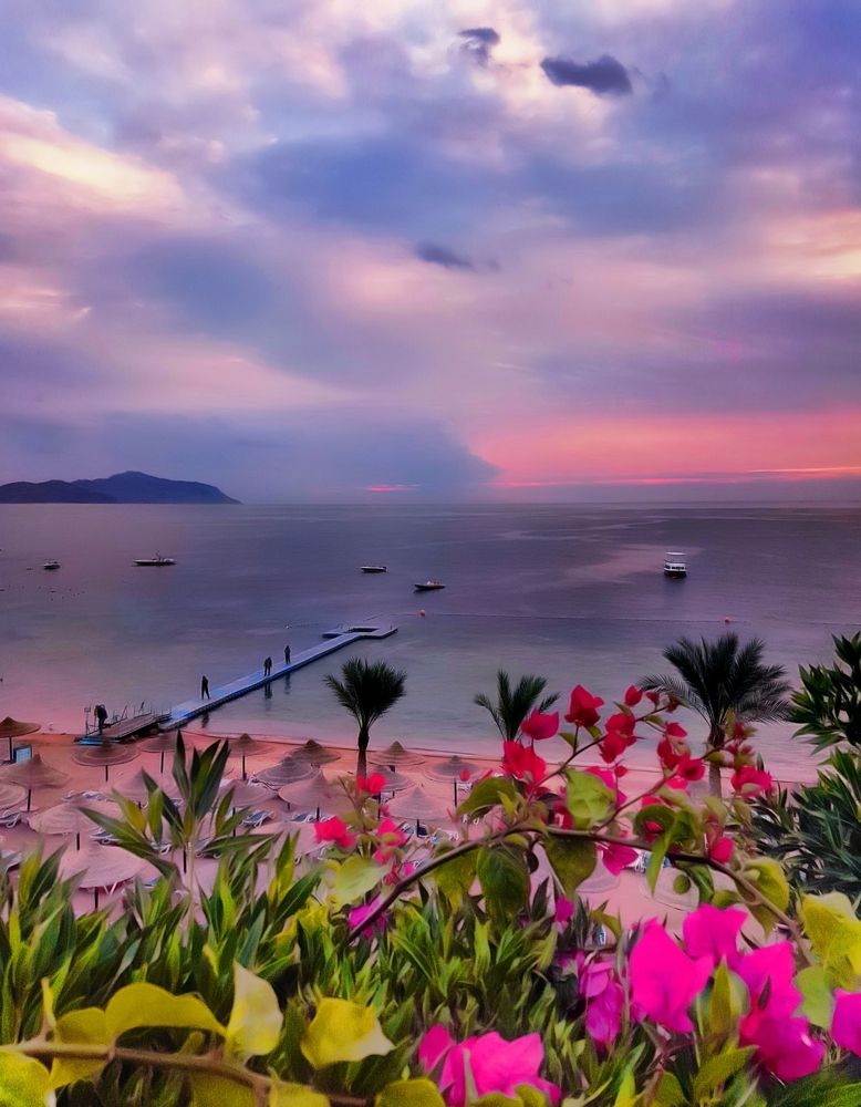 Island view