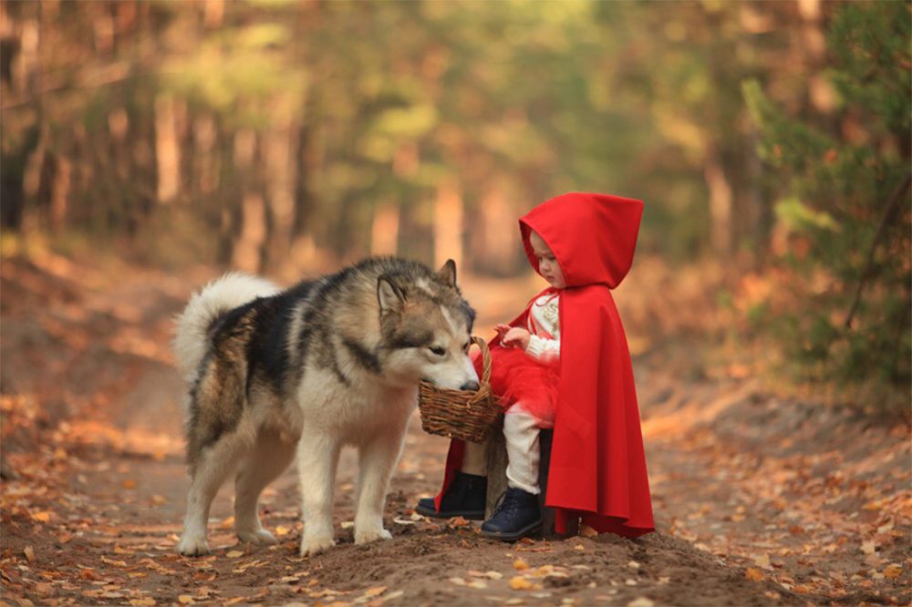 Красная Шапочка