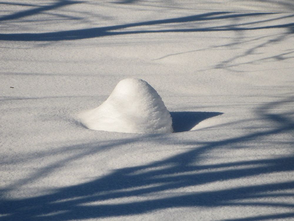 Photograph by Владимир