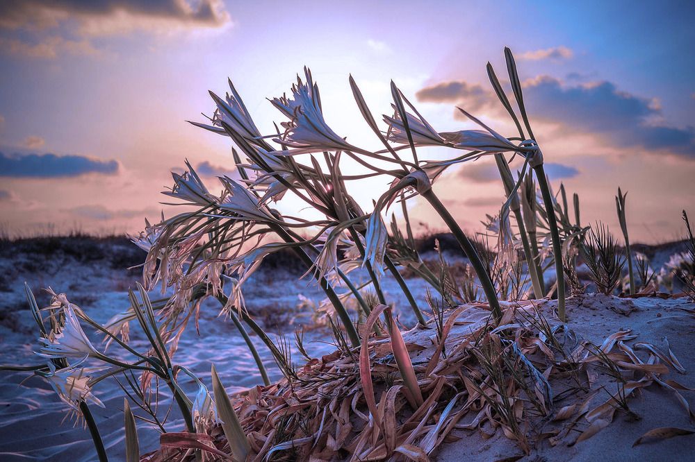 Photograph by Stas McRany