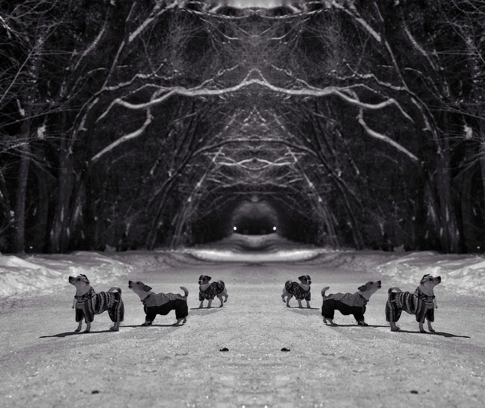 Photograph by Ханна Каунис