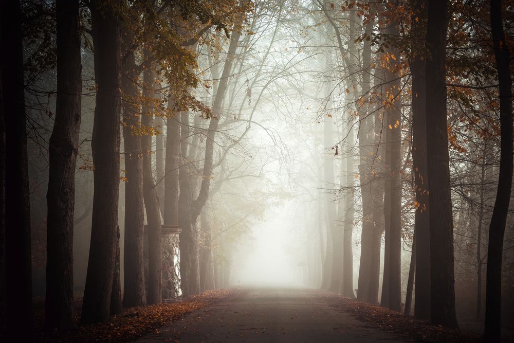 Photograph by Андрей Ожерельев