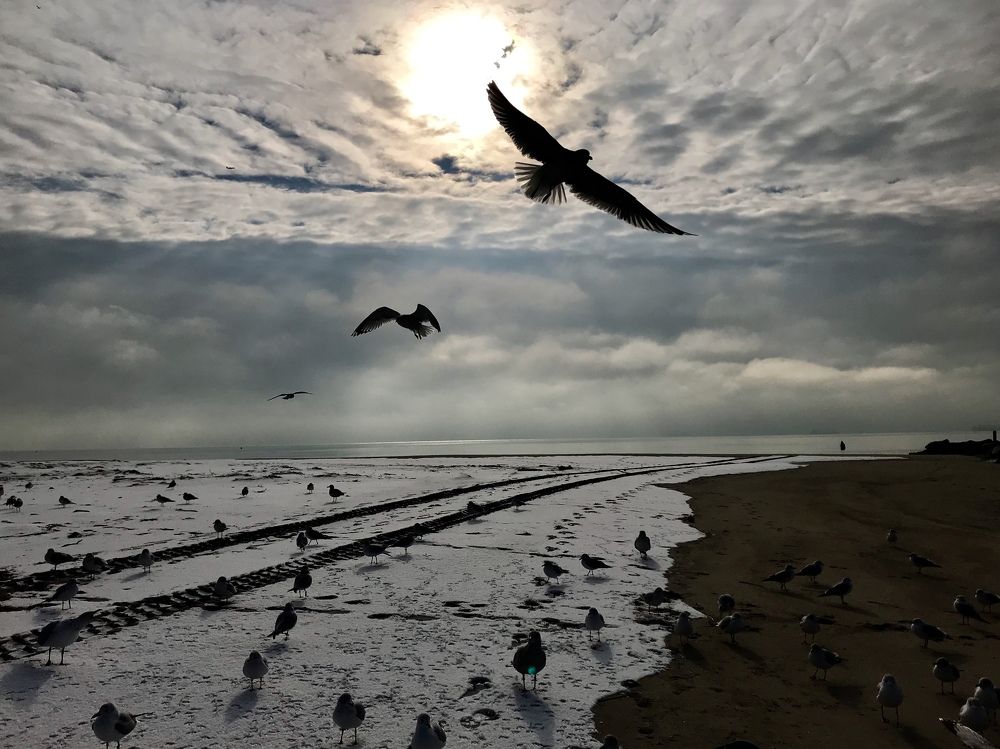 Атлантика зимой