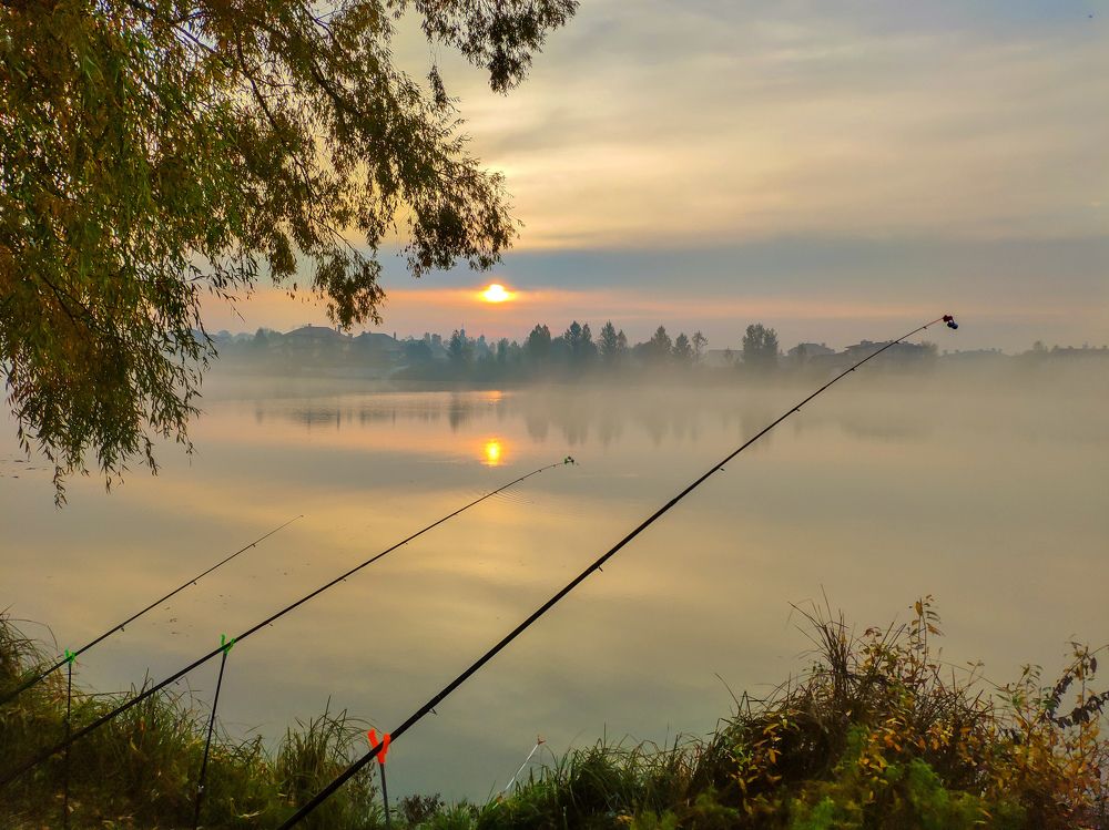 Fishing