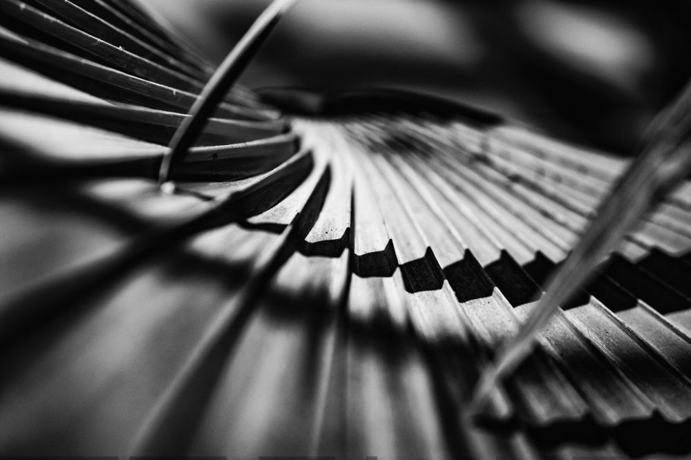 Equilibrio de sombras