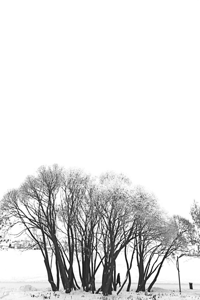 Словно замерзшие кораллы