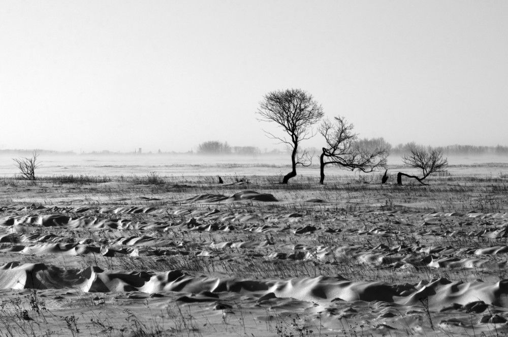 Сибирская степь