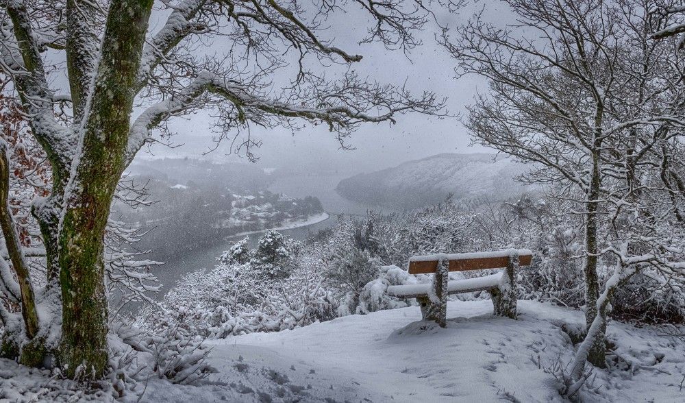 Photograph by Guy Krier