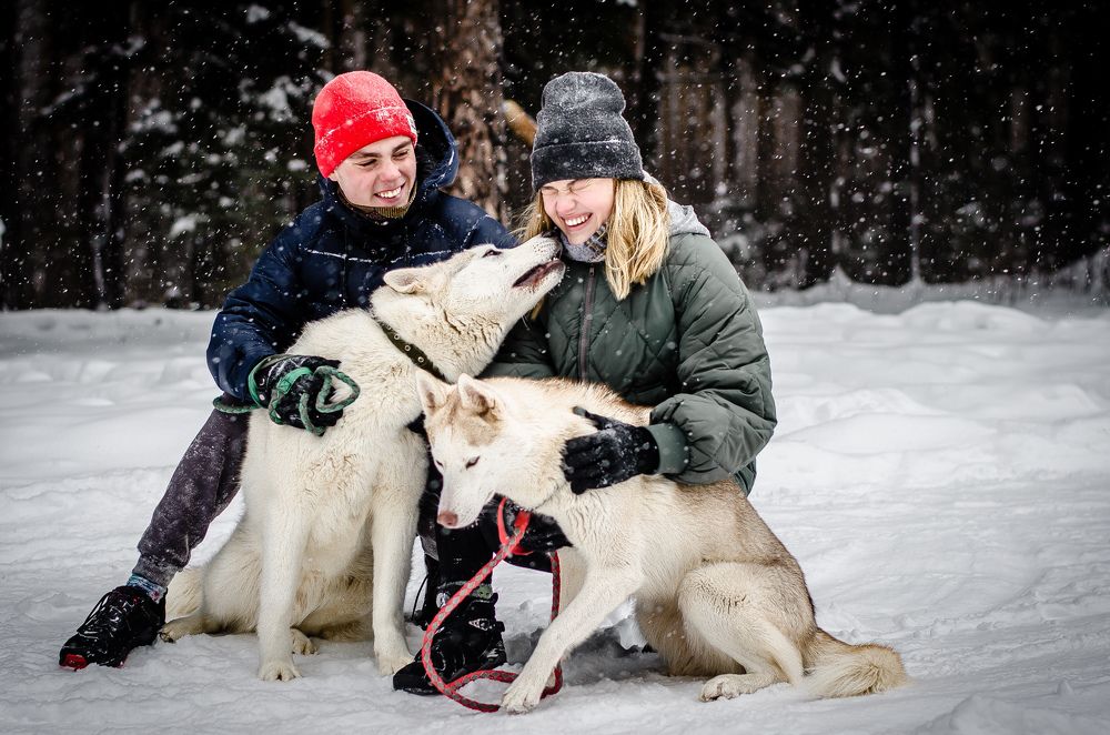 Влюблённые и их собаки
