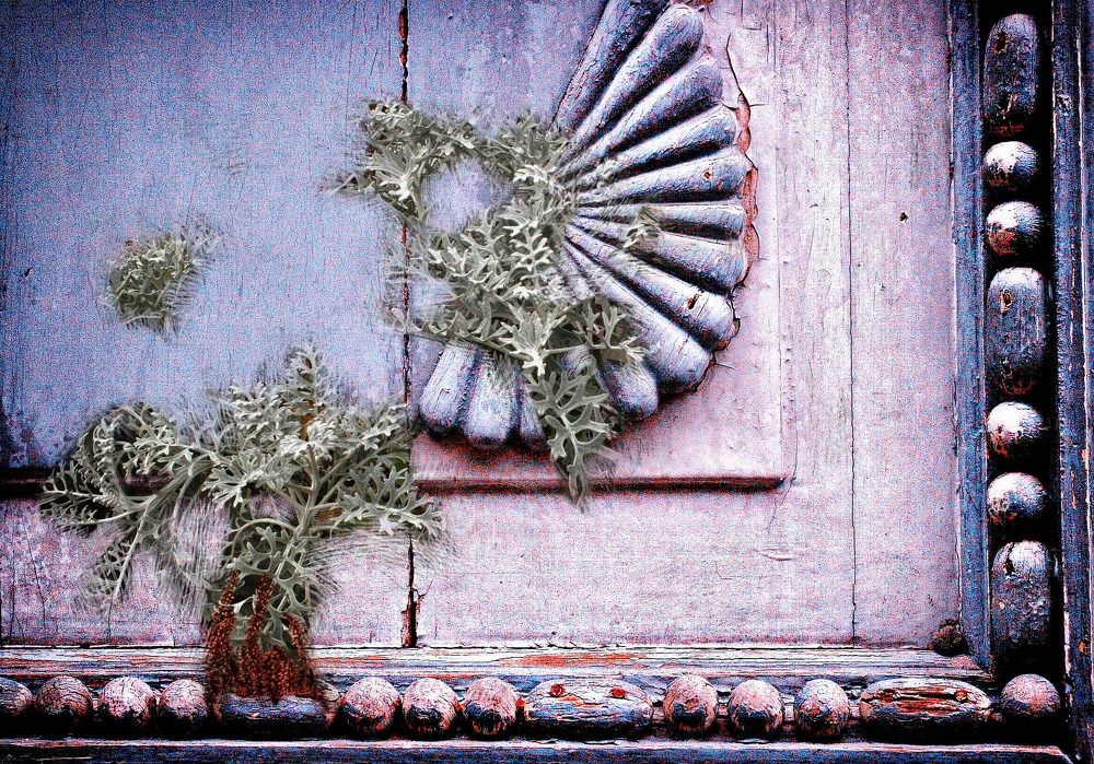 Сон старинной двери