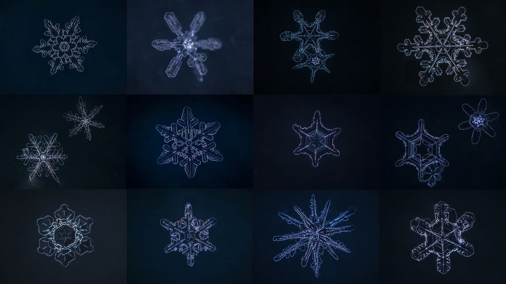 Зима в деталях