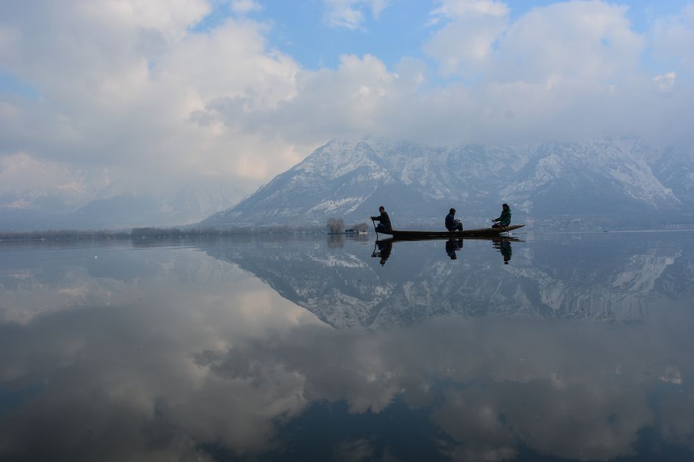 Living in the wonderland