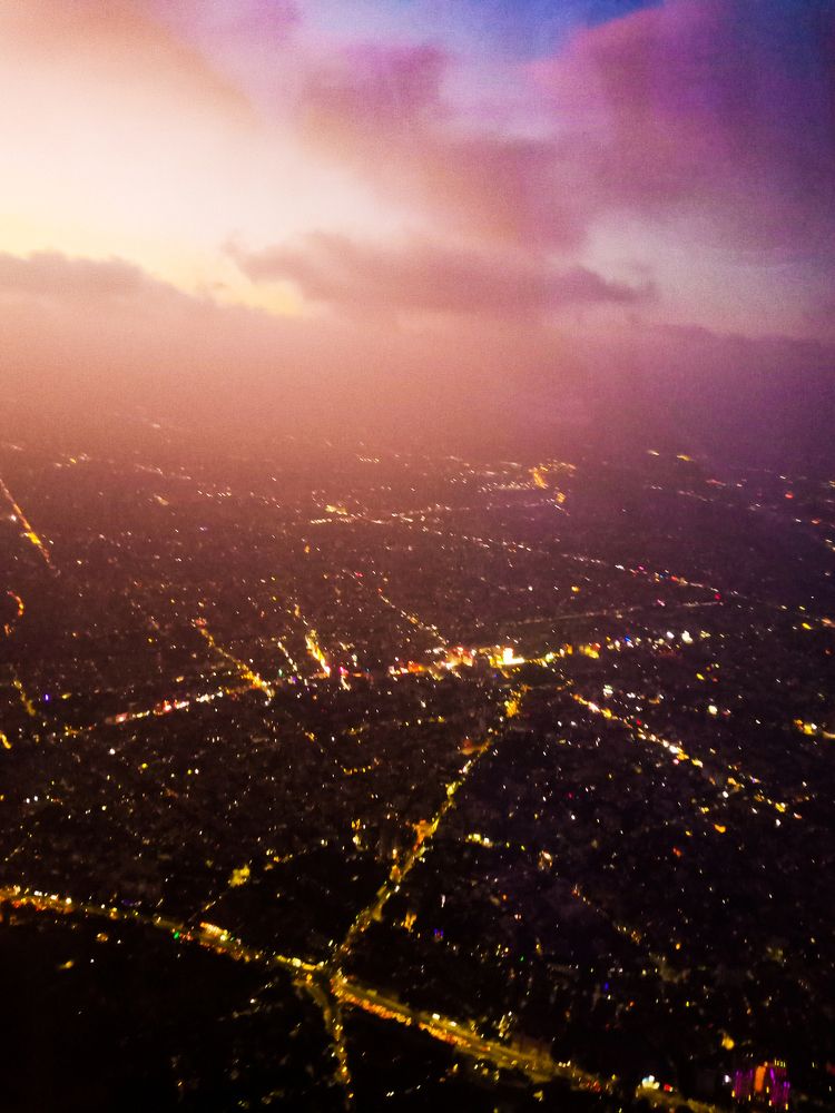 Birds eye