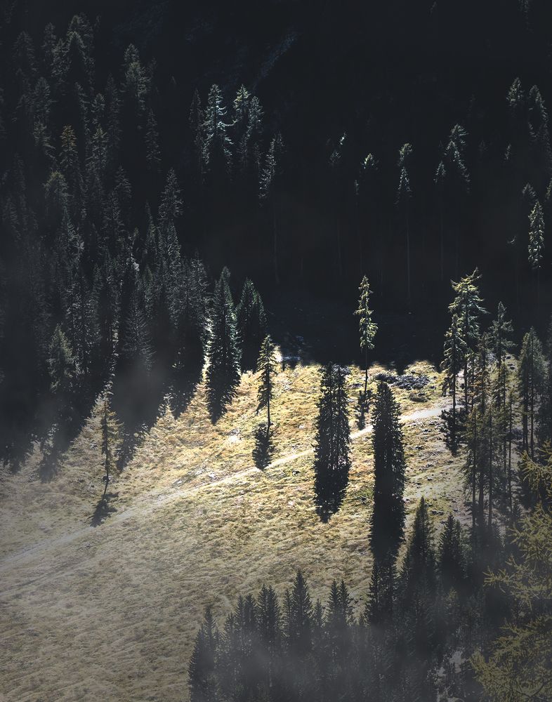 Moonlight in the mountains