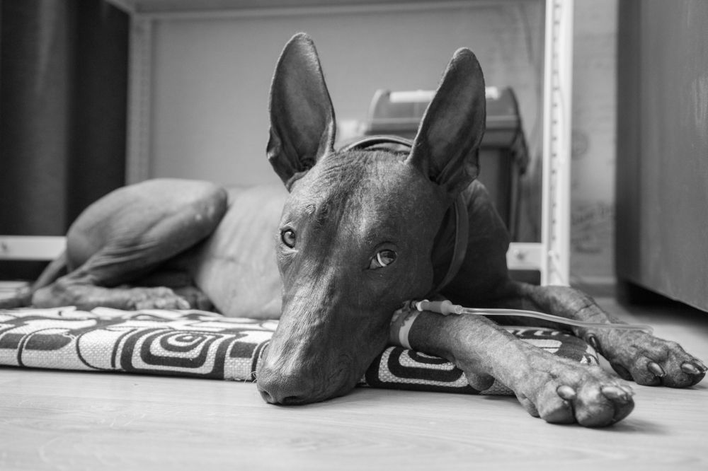 Photograph by Иван Кабалин