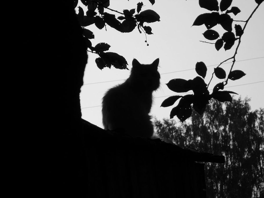 Photograph by Владимир