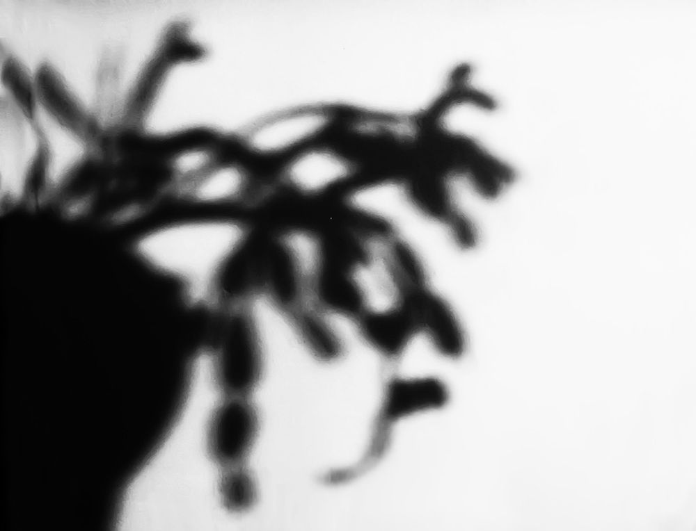 Photograph by Владимир