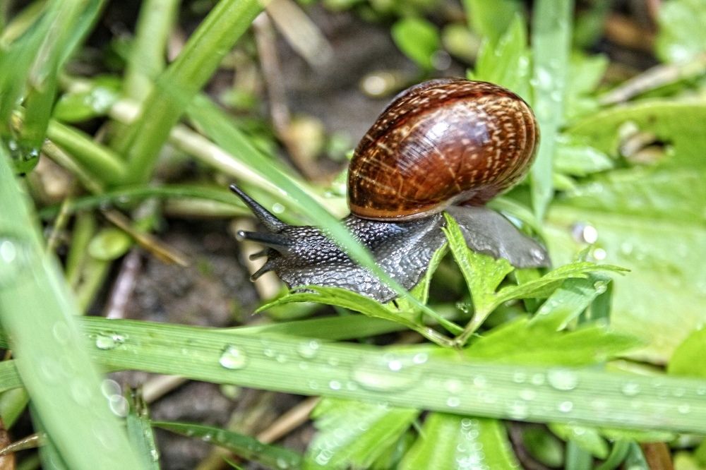 Двигаясь к цели.