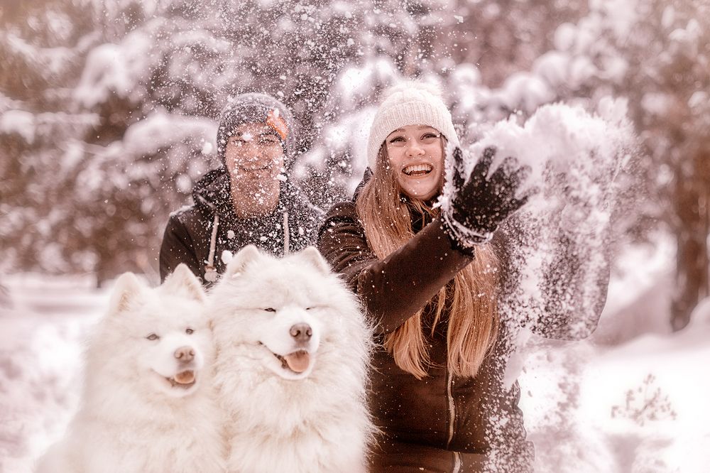 Любовь на четверых