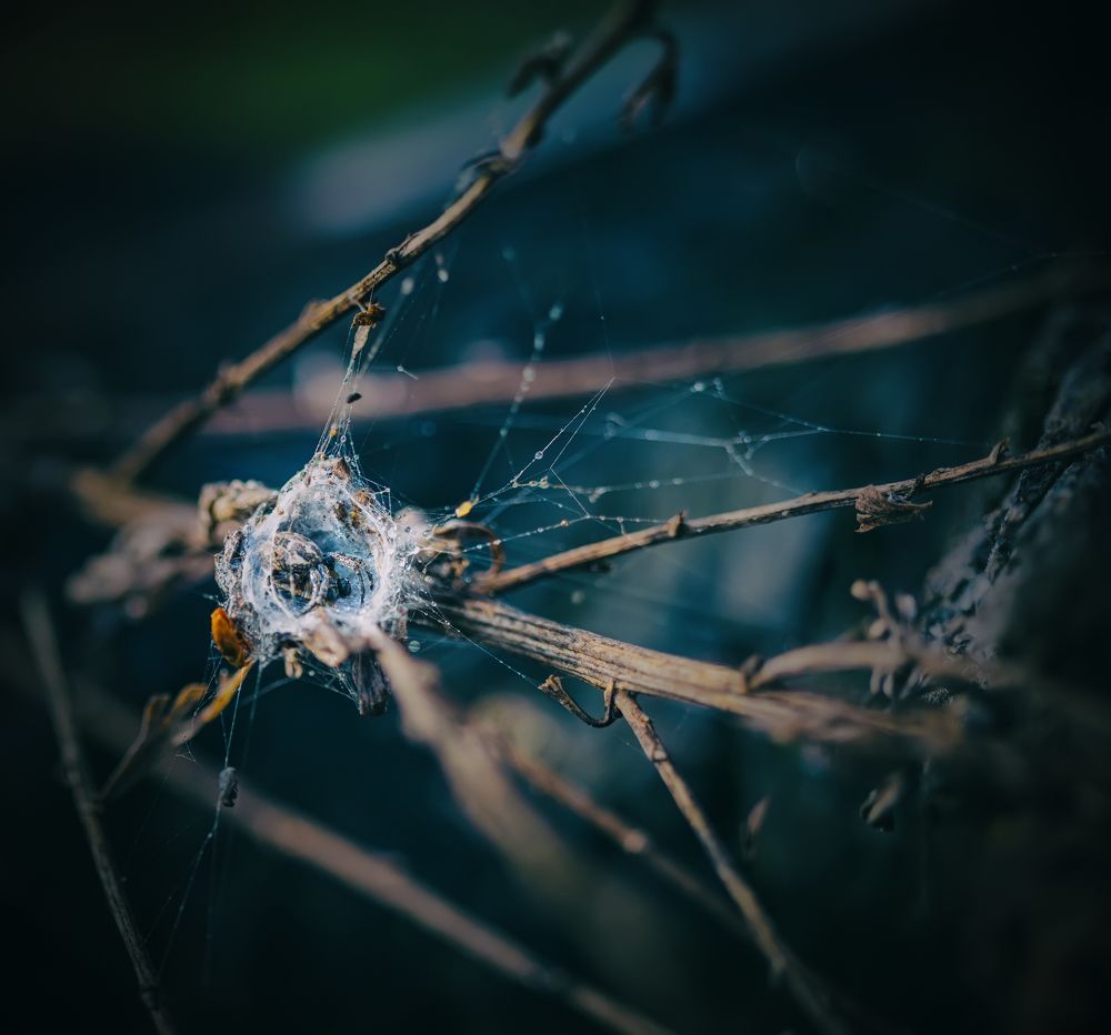 In the lair of the spider.