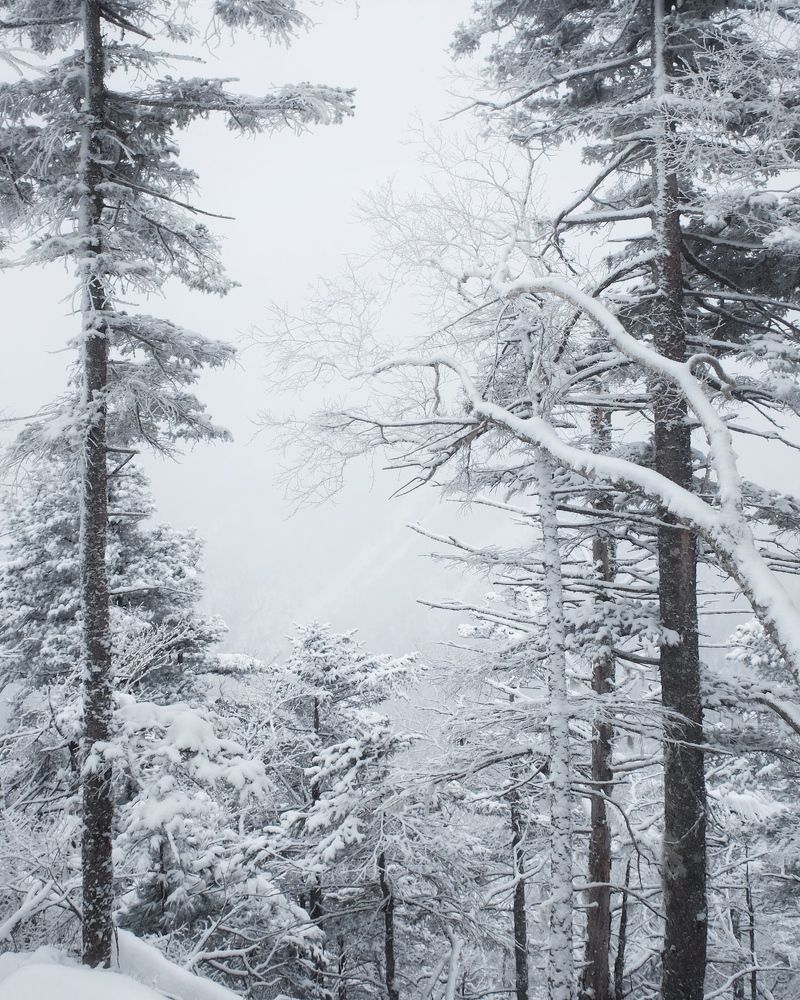 Сказочная Фалаза